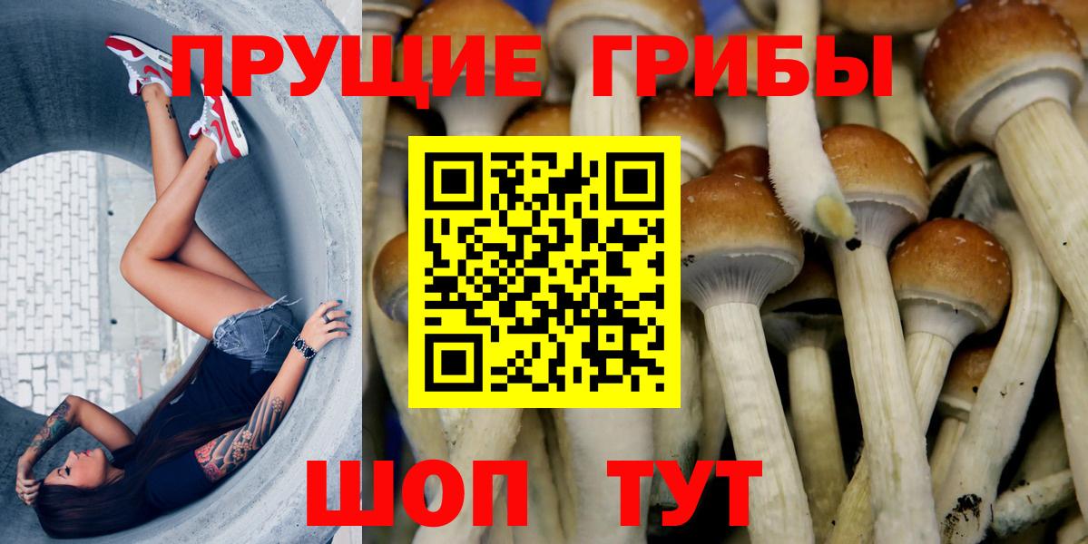 Галлюциногенные грибы прущие грибы  наркотики  Костомукша  Вход с VPN 